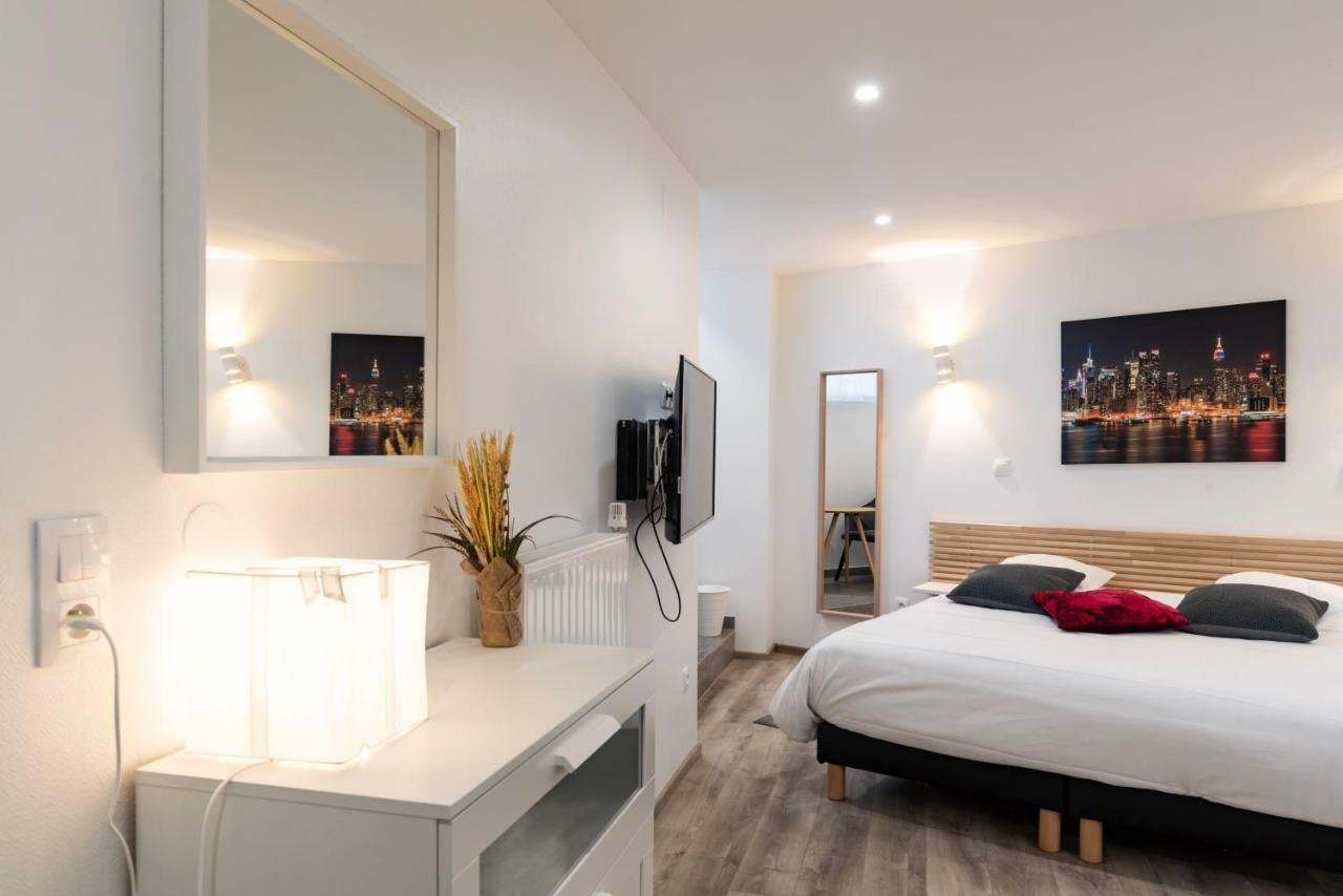 Citycosy - Hirtz Orangerie Apartment Strasbourg